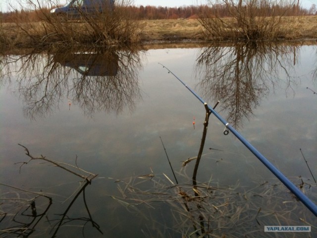 Открытая вода