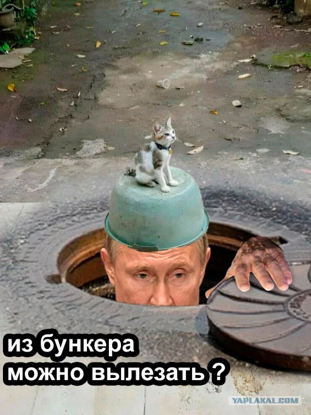 Долго всматривался в фото, чтобы понять