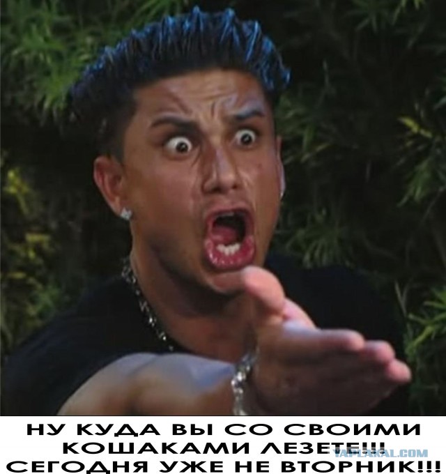 Немного голубоглазой милоты