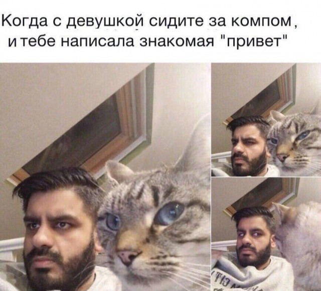 Немного мемчиков. Для взрослых. Часть 15