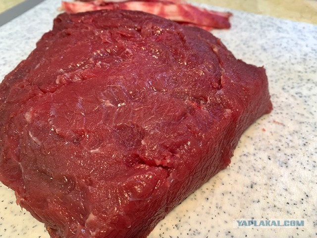 Каклетные страдания