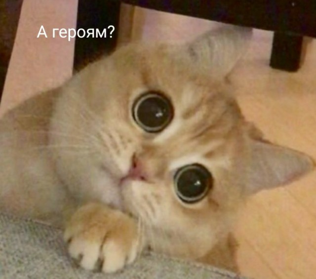 Что будет с простым народом при любом исходе СВО?
