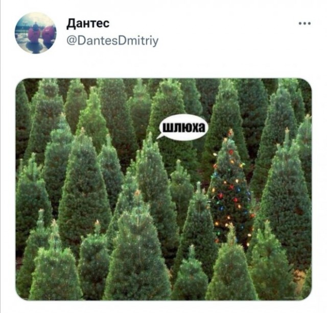 Немного картинок для настроения
