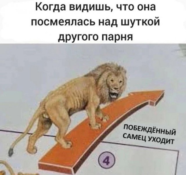 Картинки и мемы, выходные продолжаются