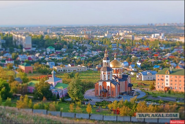 "Я себя не на помойке нашла" и нищеброд