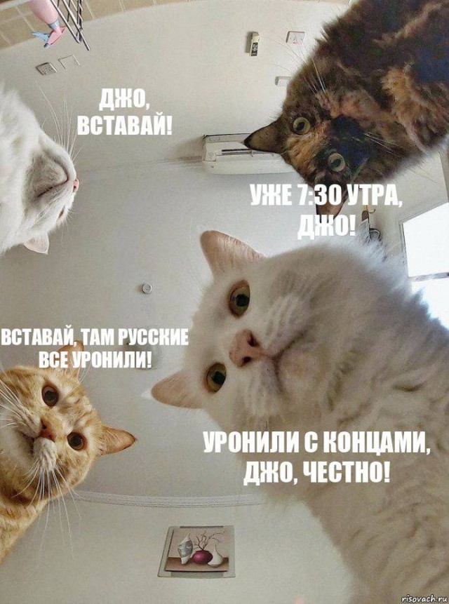 Заявление Минобороны РФ по инциденту над Чёрным морем