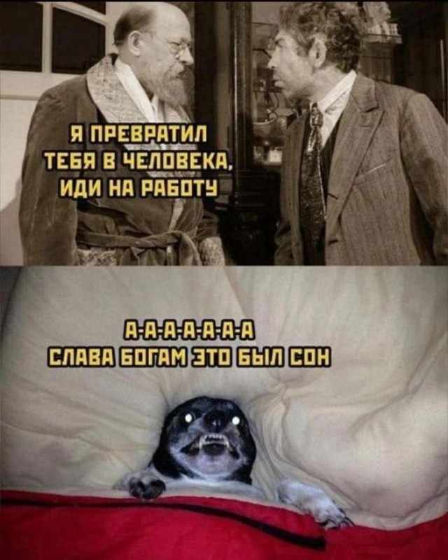 Тематическая подборка картинок (18+)
