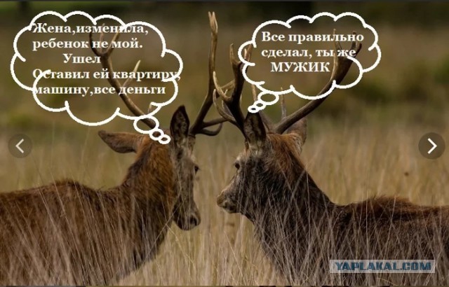Семья катится под откос...