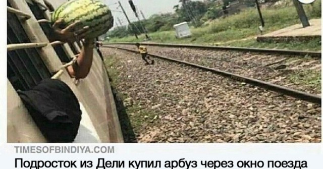 Тот самый человек, который «шарит за арбузы»
