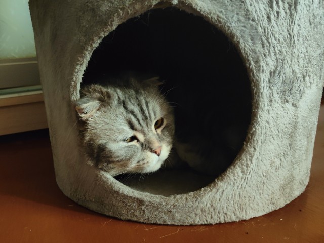 Вот вам