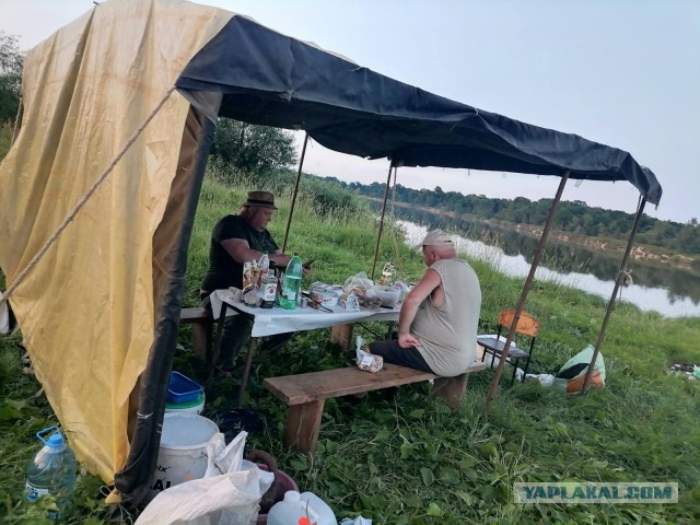 Настоящая рыбалка онлайн