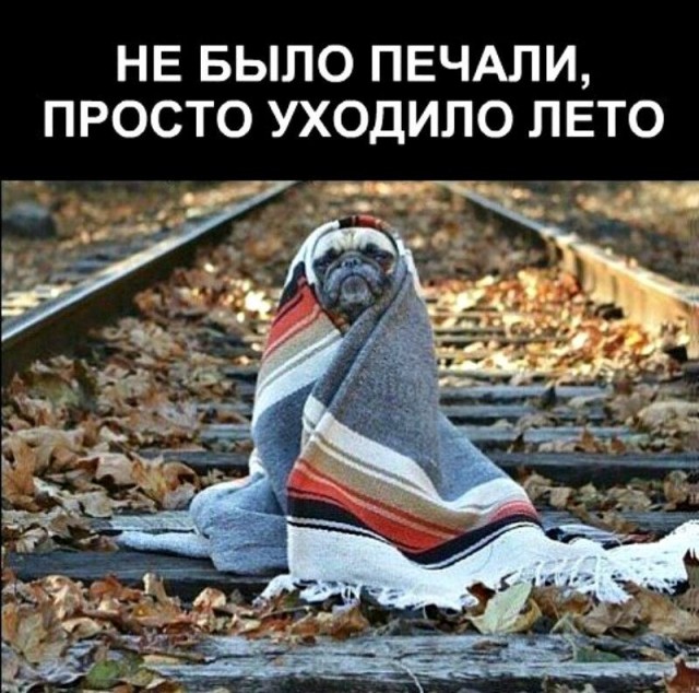 Нуштош 06.07.2023