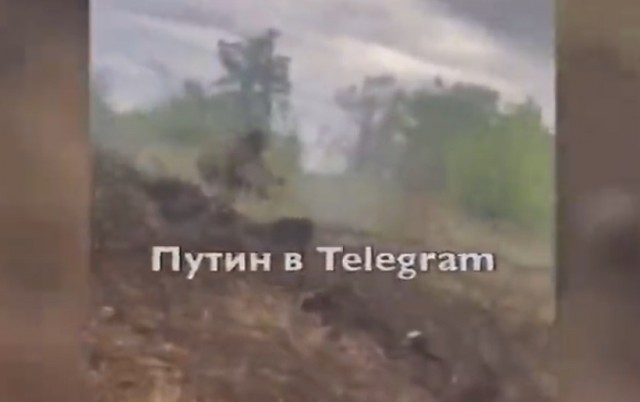 Русские не сдаются
