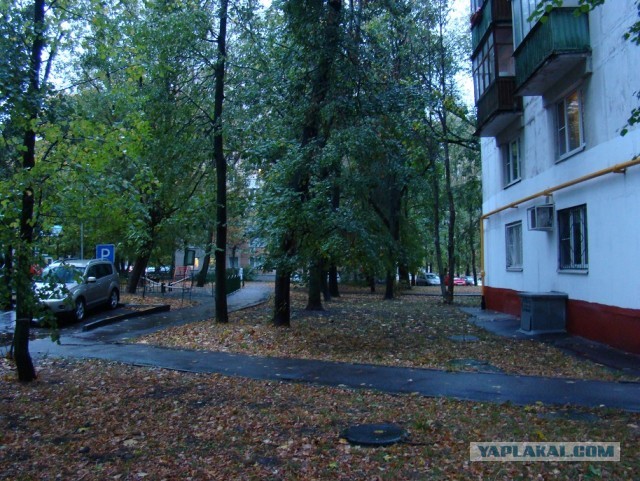 Краски осени