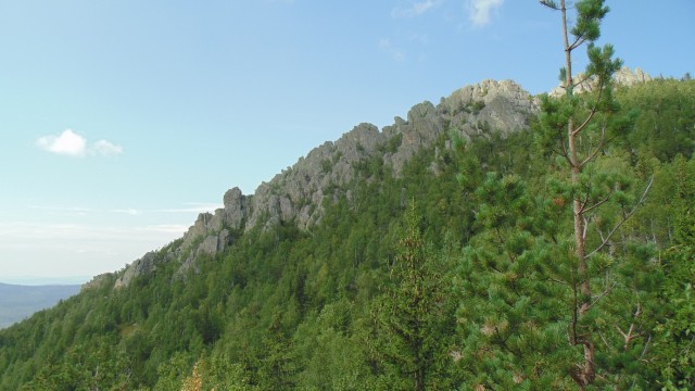 Красивые фото ЯПа