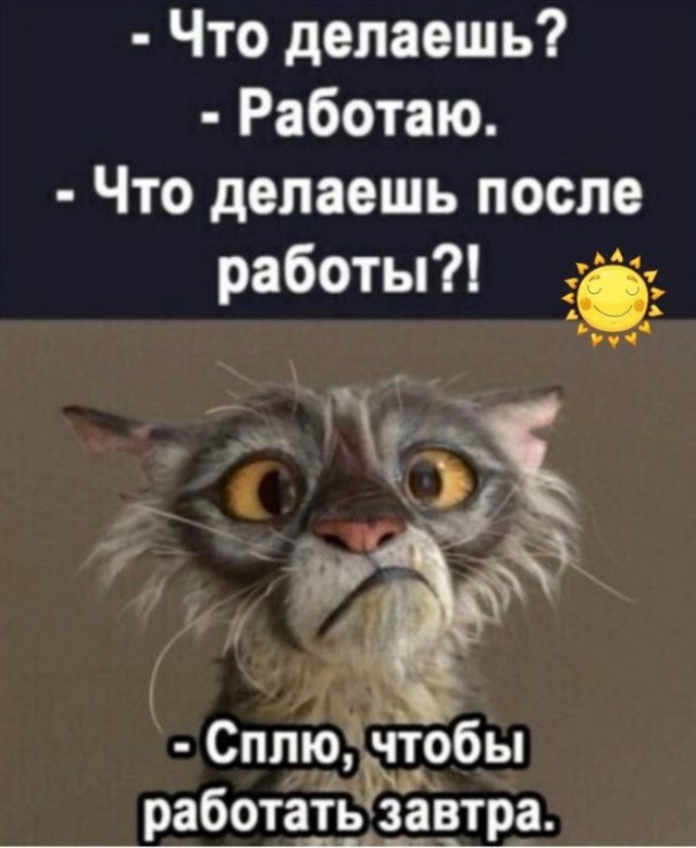 Весёлый полтишок 09.11.23