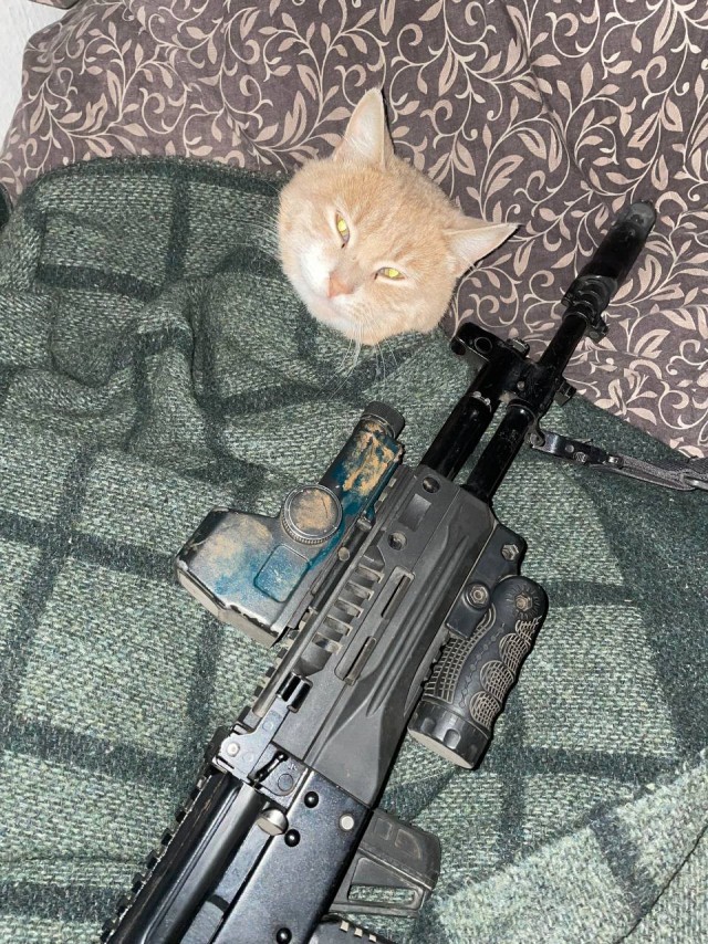 Маркиз нашёл новый дом!