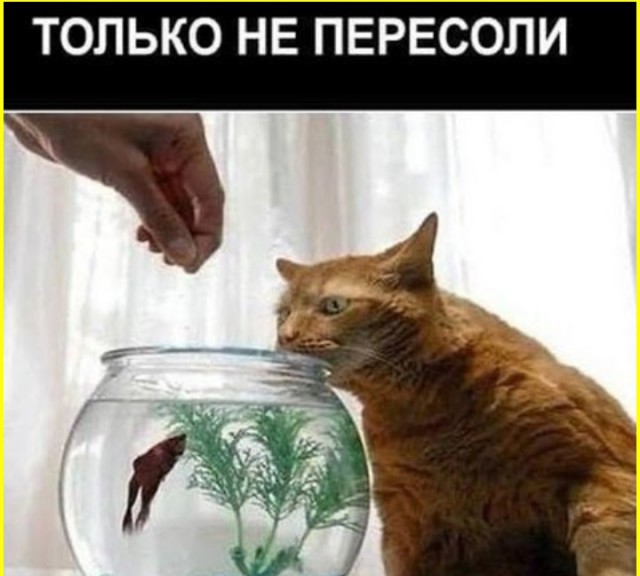 Тлидцать тли пятничные