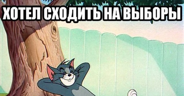 Москвичка залила урну с бюллетенями зеленкой
