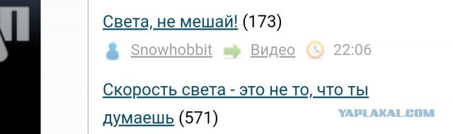 Света, не мешай!