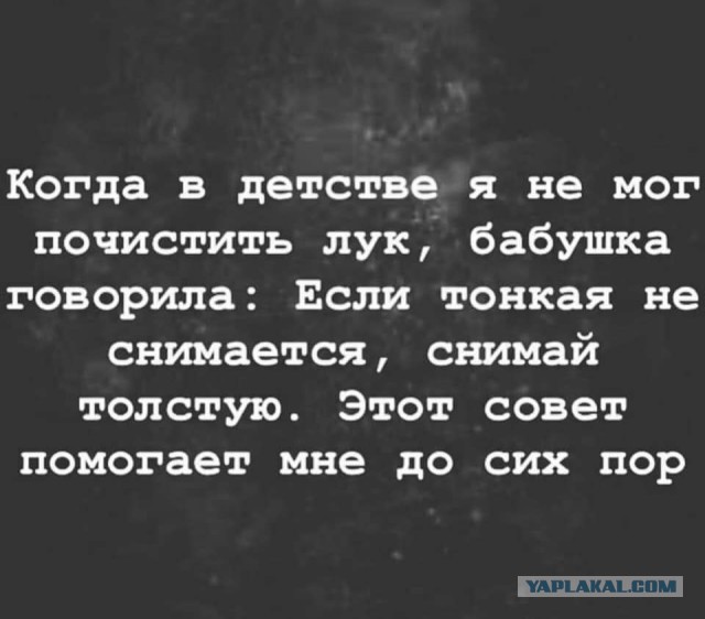 Пышные девушки формата "Плюс Сайз"