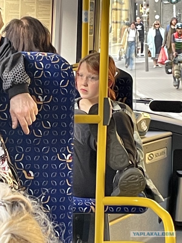 Свиньи в неестественной среде обитания