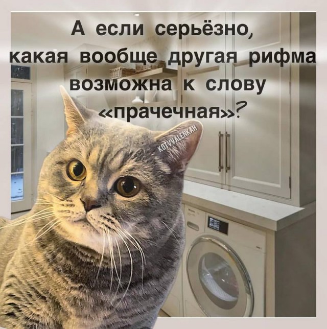 19221147.jpg