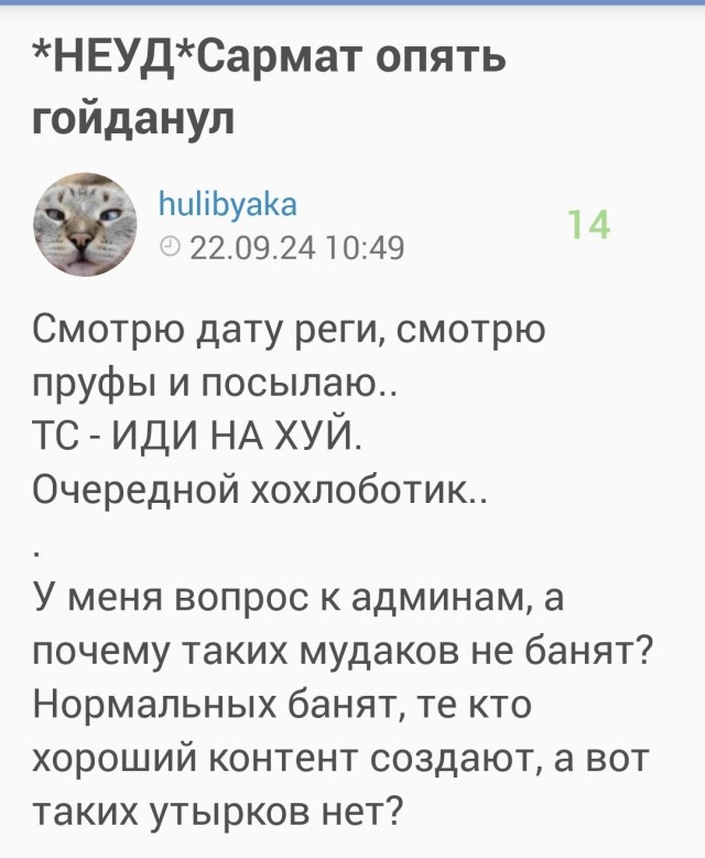 Песков не стал комментировать публикации об инциденте с "Сарматом"