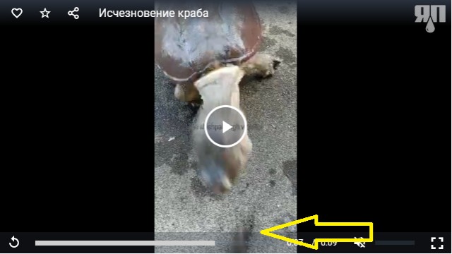 Исчезновение краба
