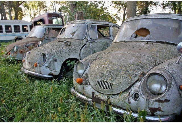 В поисках ценных раритетов.