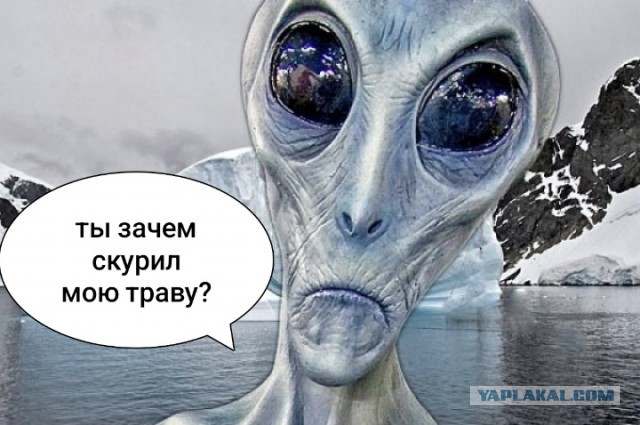 Что хранят чёрные саркофаги, найденные в Антарктиде