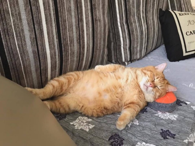 Слова, которые невозможно перевести