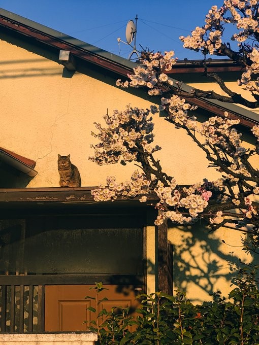 Весеннее фото