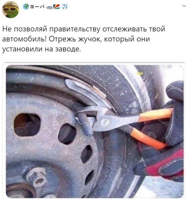 Занял "королевское" место
