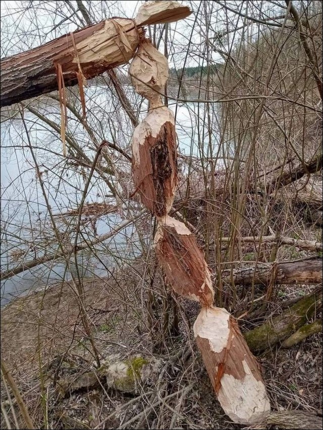 Так себе картинки 28.03.25