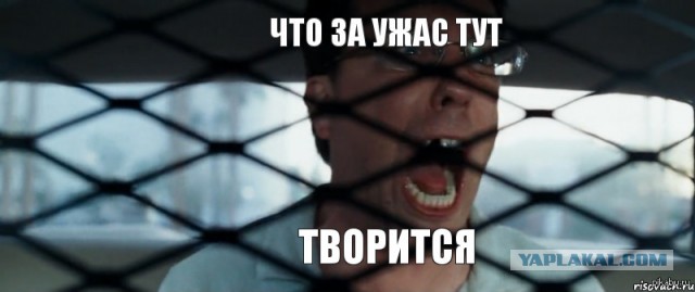 Что здесь происходит?
