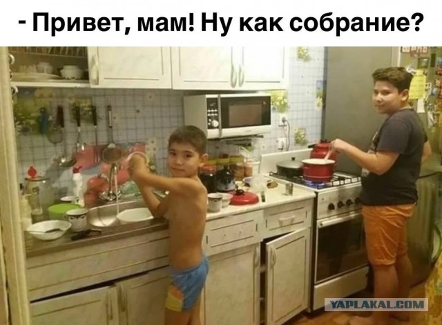 Утречко. Боянчики. Красоточка