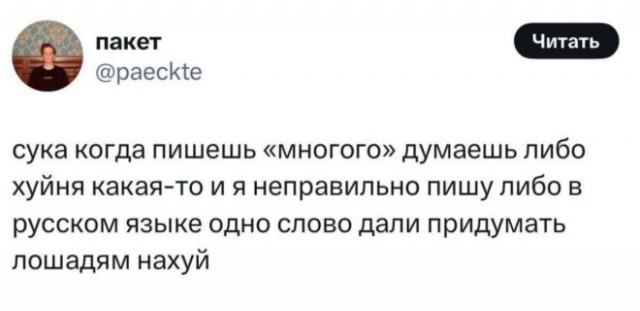 Веселые картинки в маленькую пятницу (17.12)