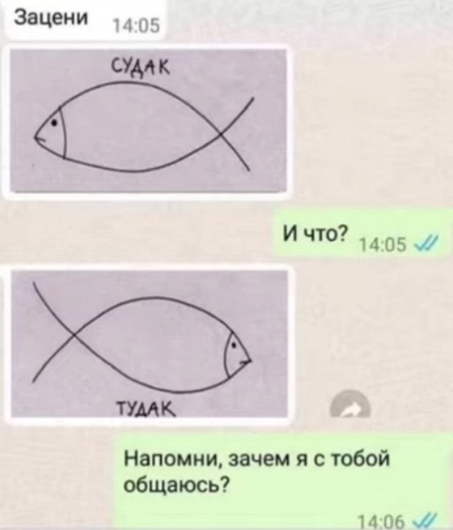 Картиночки, баянчики 29 декабря