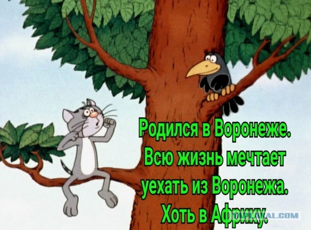 Делал в Москве опрос про то, с чем ассоциируется Воронеж, и удивился!
