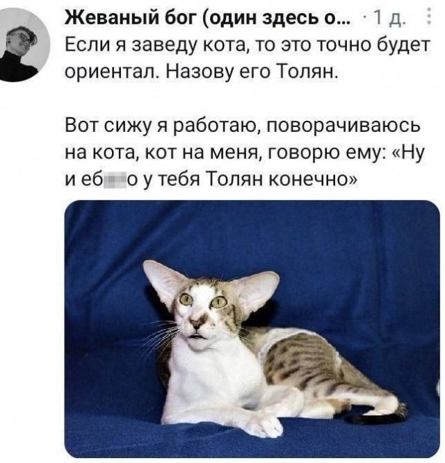 Картинки для деградации 151 (разной степени свежести)