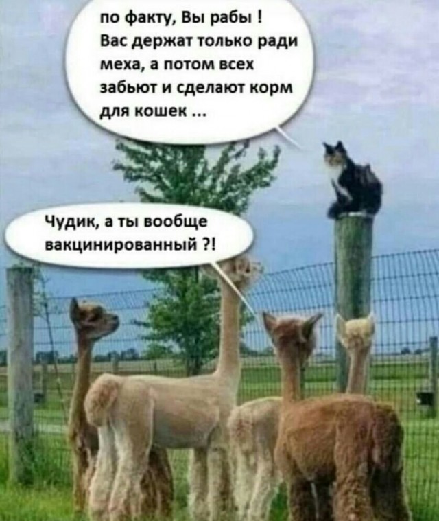 Ковид, Цифровая валюта и прочие радости. III