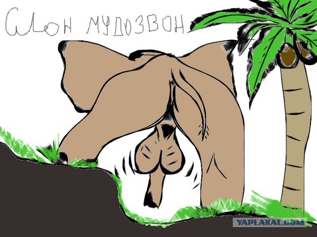 Рисунки Дениса Насаева