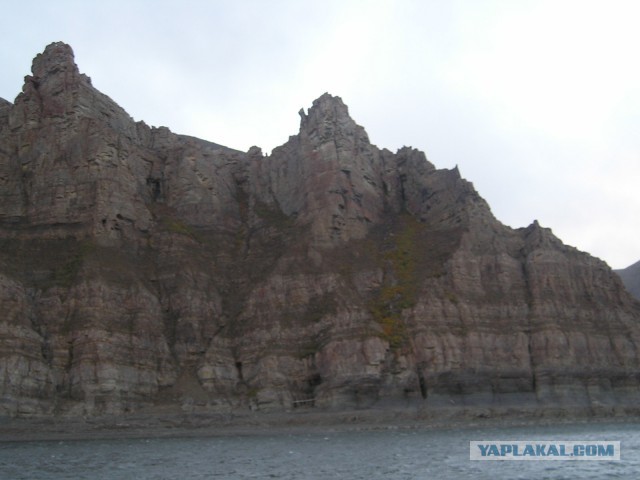 Река Лена