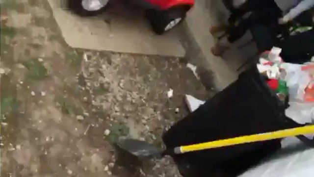 Девчушки подрались