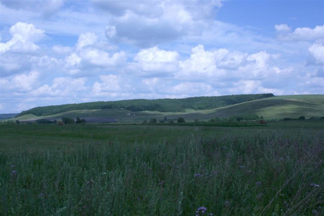 Деревенская Америка