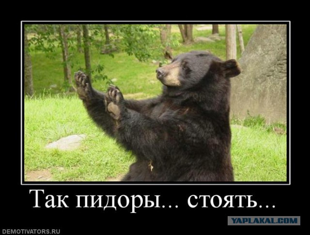 Хабаровск и гомосеки