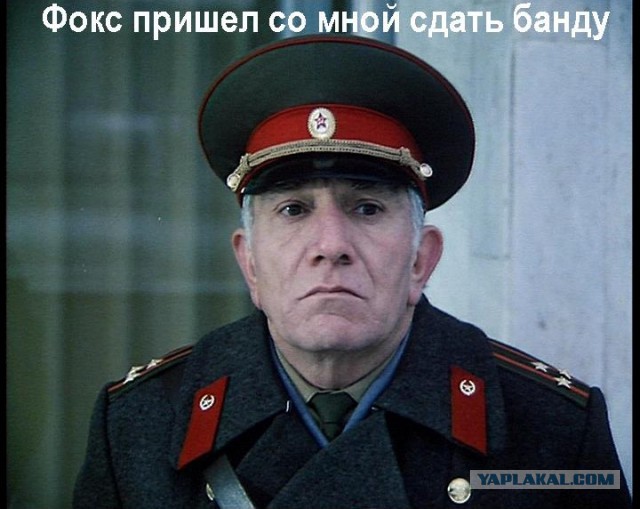 "Фокс не убивал Ларису..."