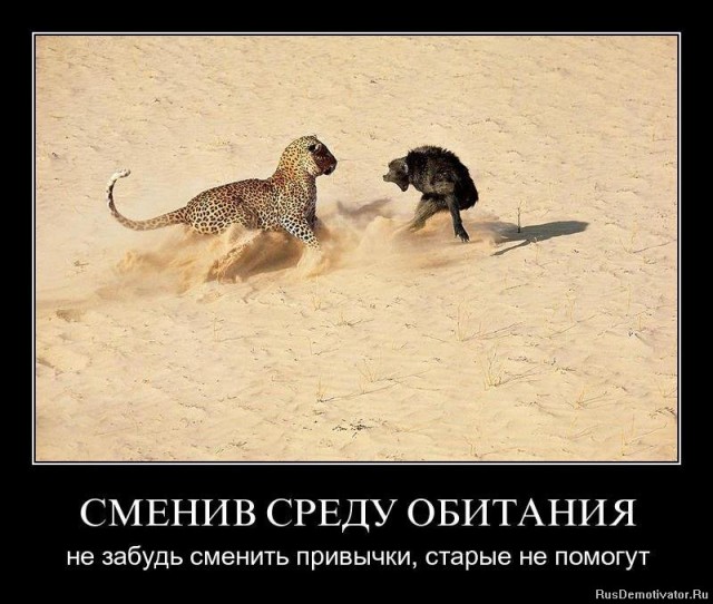 Вы хотите "демов"? часть 2-я