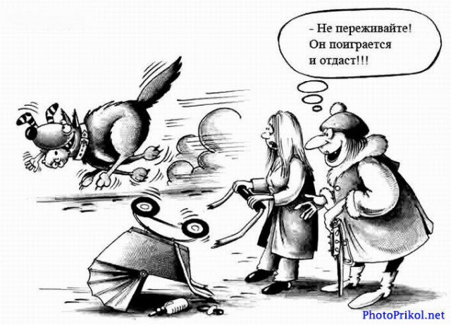 Начали рвать, как игрушку